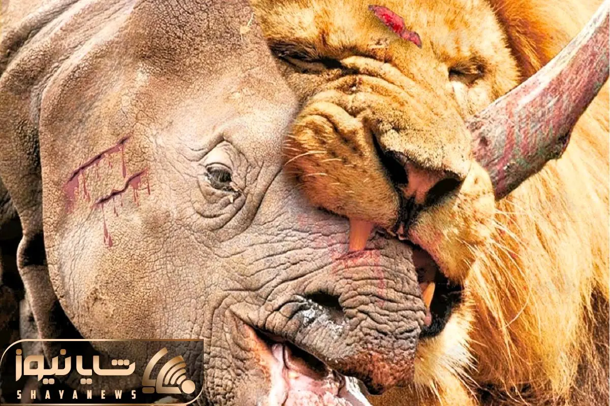 Wp Header Logo 2829.png
