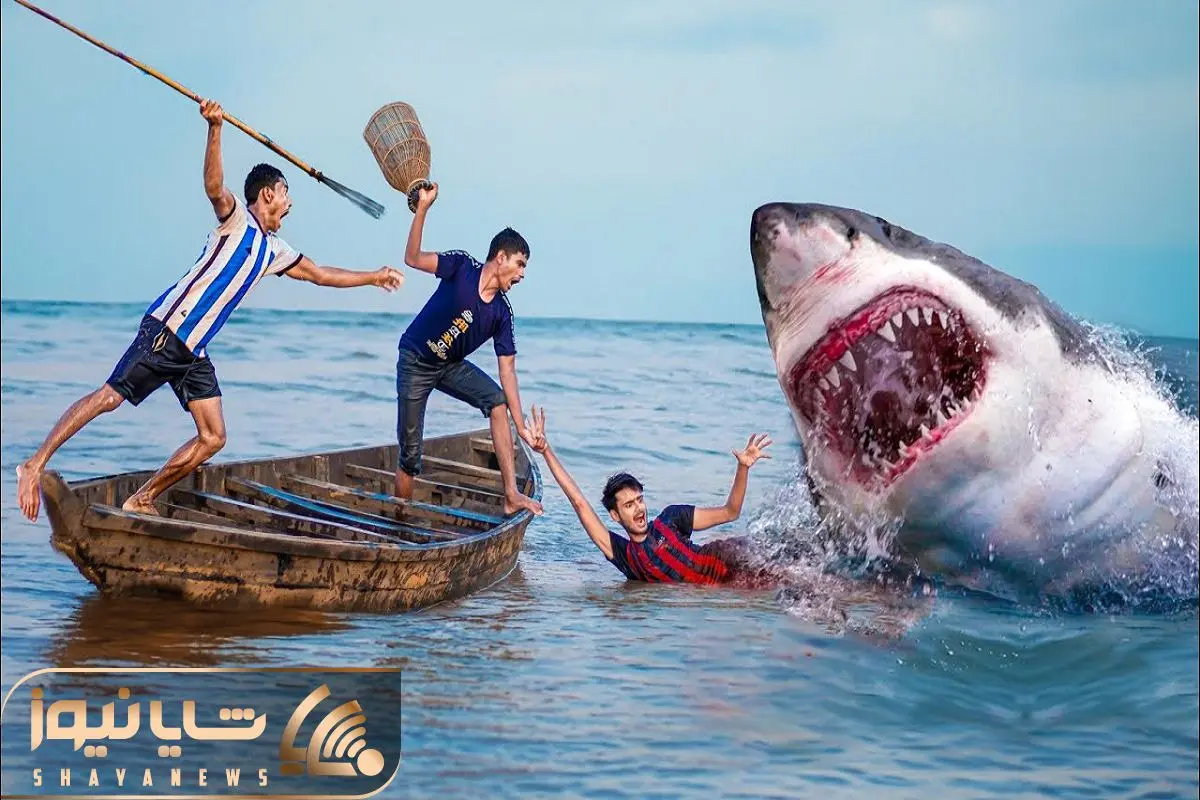 Wp Header Logo 970.png