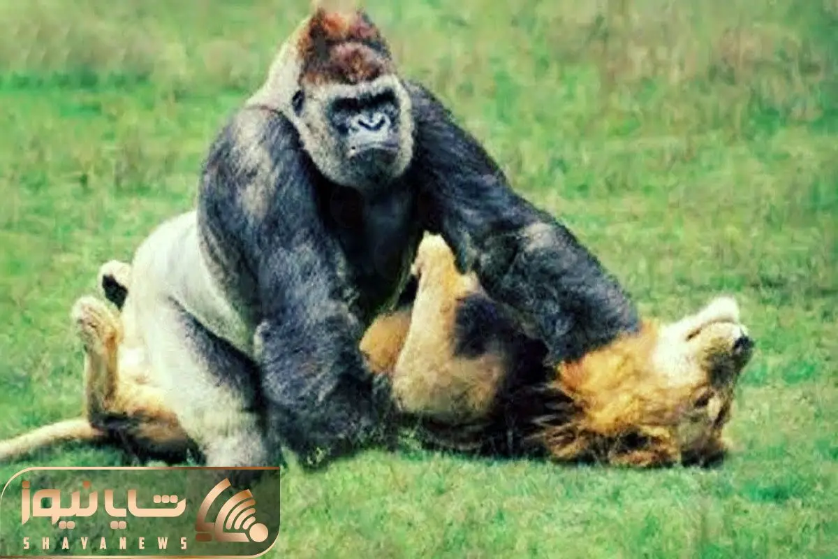 Wp Header Logo 1725.png