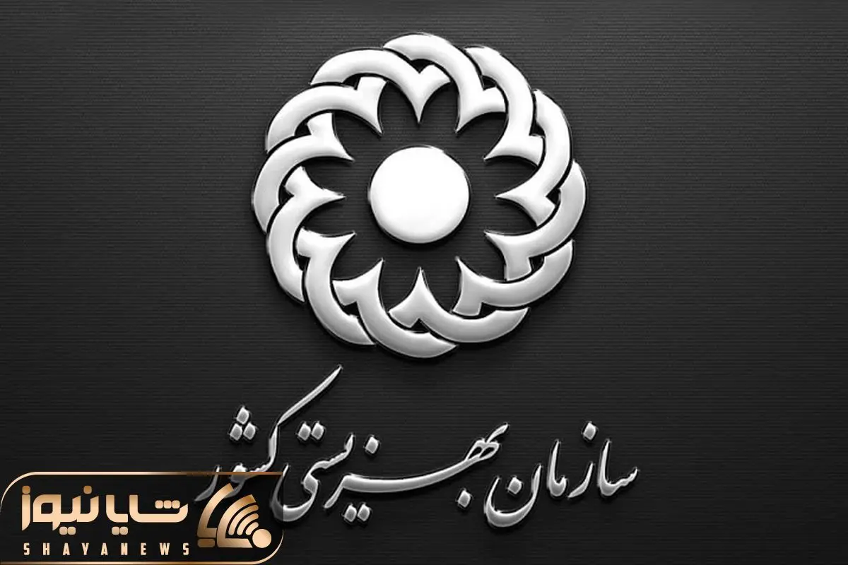 Wp Header Logo 2063.png