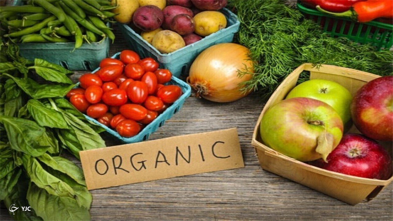 Wp Header Logo 1312.png