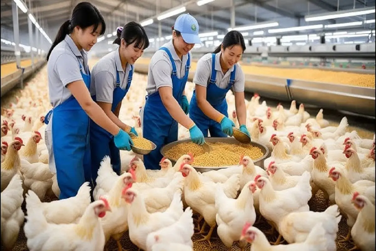 Wp Header Logo 4379.png