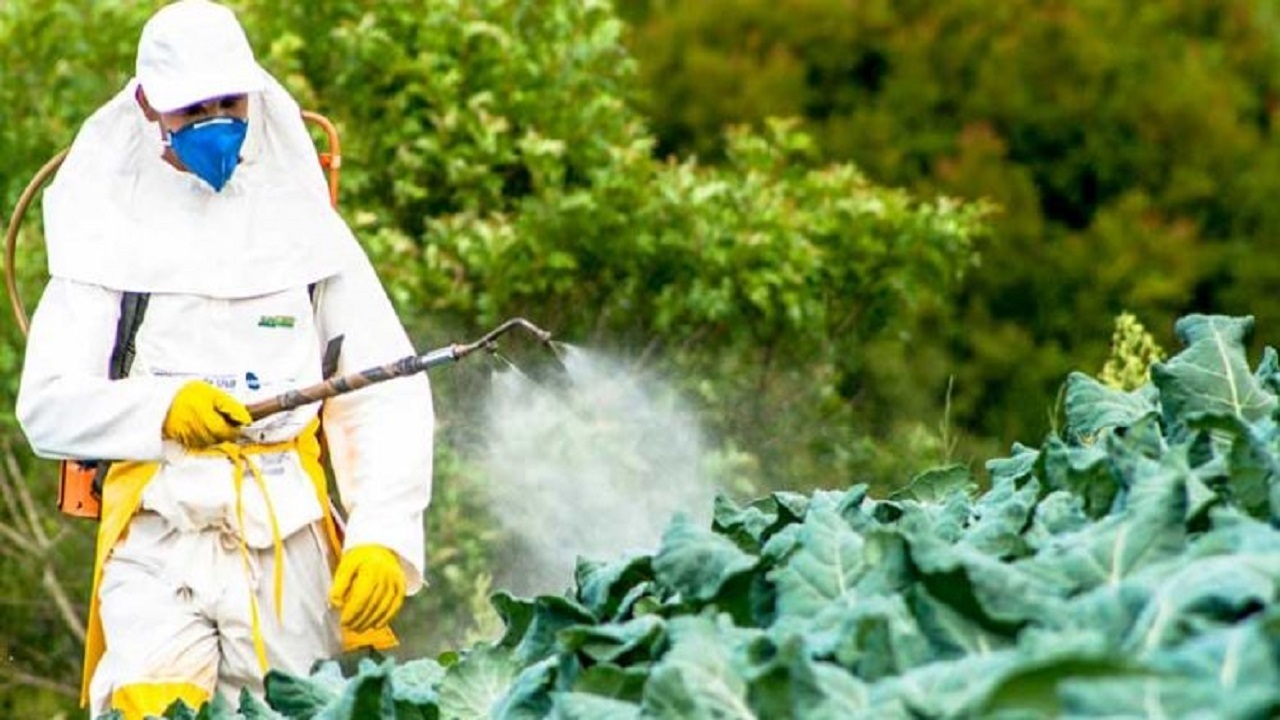 Wp Header Logo 216.png