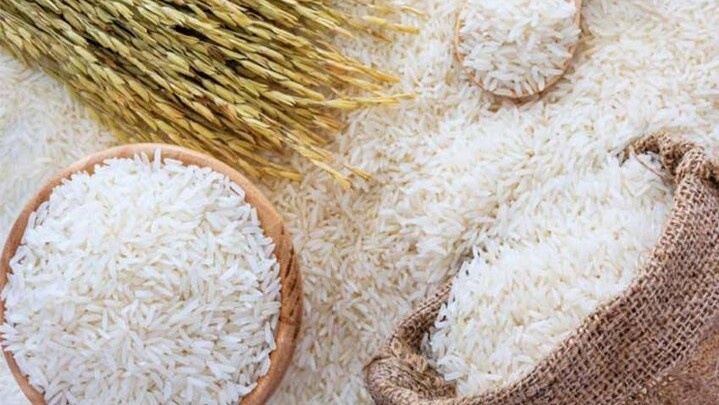 Wp Header Logo 585.png