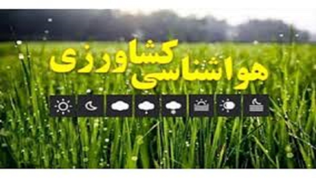 Wp Header Logo 2553.png