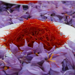 سطح زیرکشت زعفران ۱۲۷ هزارهکتار است