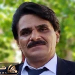 آواز اصیل؛ آهنگ احساسی از سجاد رزمجو تو دوران اوجش که با شنیدنش قلبت ریش ریش میشه
