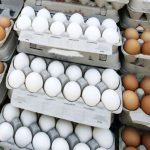 دلال‌بازی در بازار مرغ و تخم‌مرغ