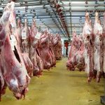 چند درصد از درآمد کارگران صرف خرید گوشت می‌شود؟/قیمت گوشت هر روز، گران تر از دیروز