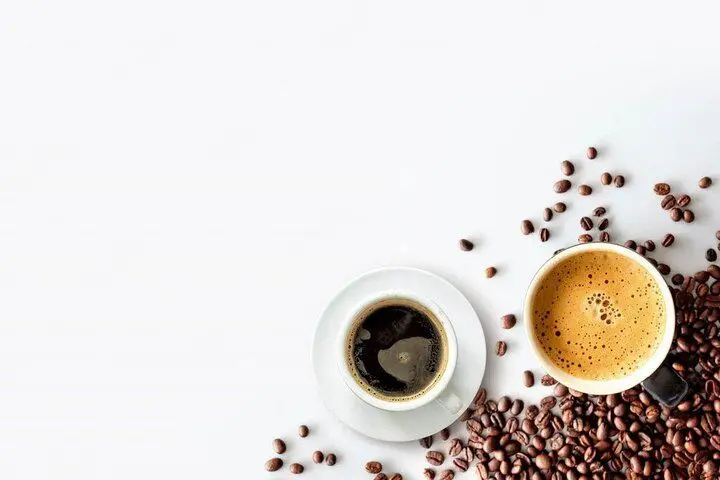Wp Header Logo 3543.png