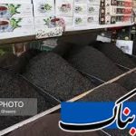 ارز ترجیحی حذف شد، قاچاق چای اوج گرفت
