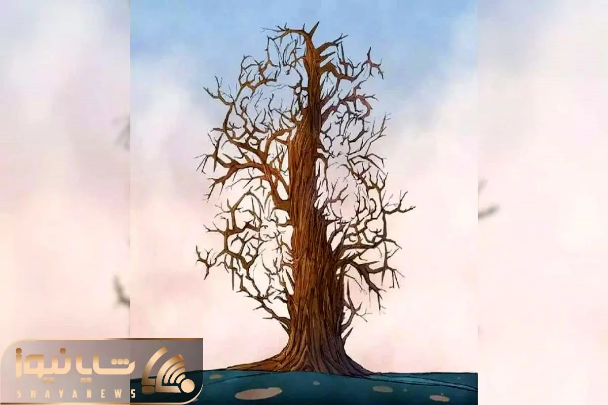 Wp Header Logo 1636.png
