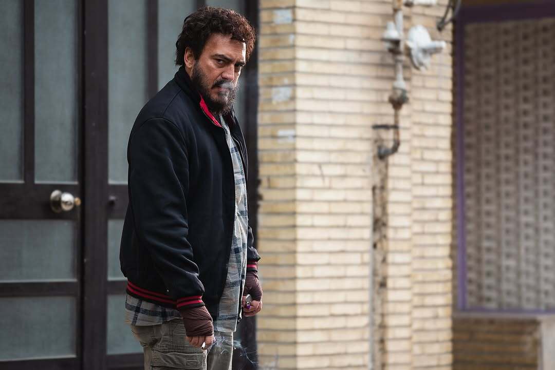 Wp Header Logo 245.png