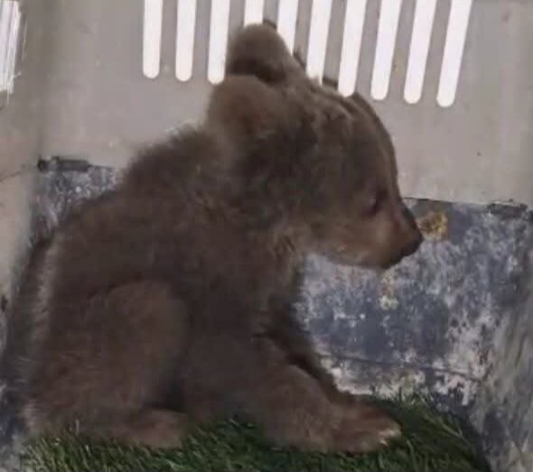 Wp Header Logo 88.png