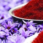 حمایت از سرمایه گذاران صنایع تبدیلی راه حلی برای تحقق شعار سال