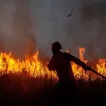 گرمای شدید در اروپا؛ صدها نفر از جزیره‌ای در یونان تخلیه شدند