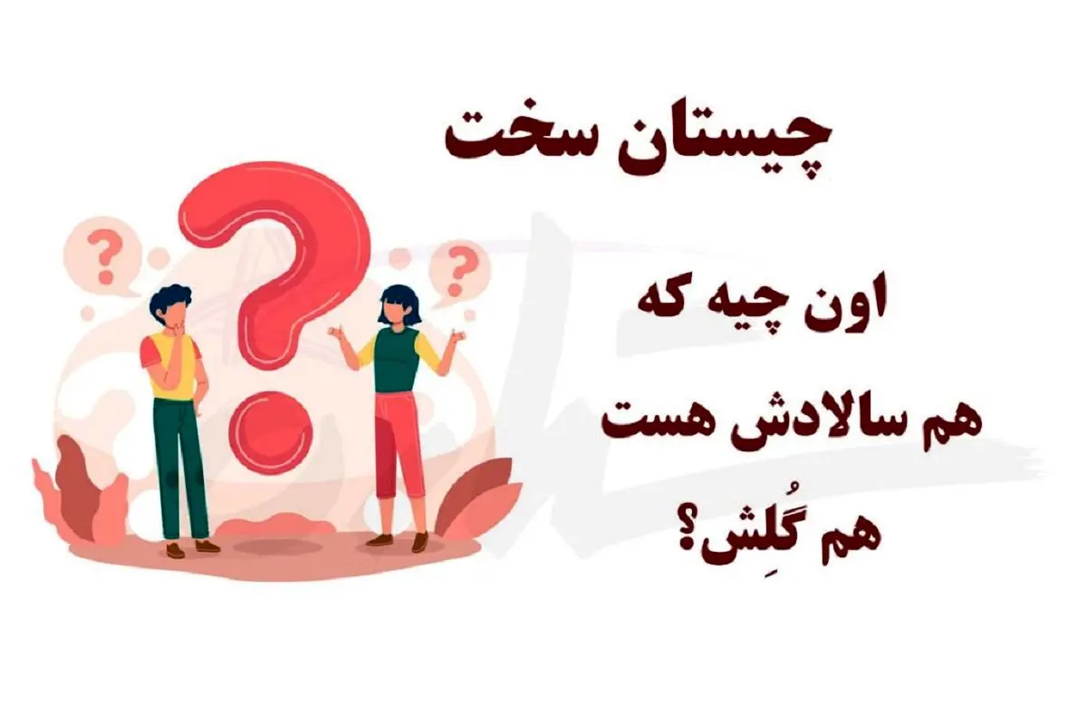Wp Header Logo 3938.png