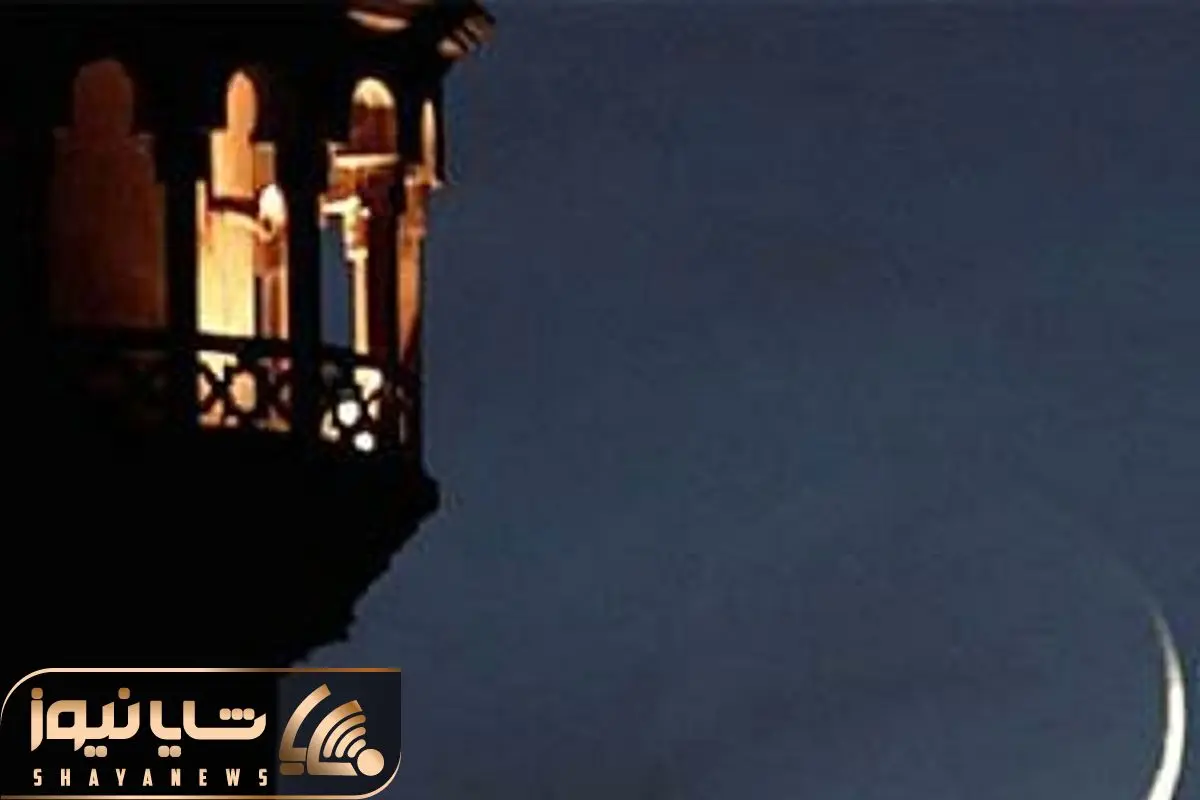 Wp Header Logo 4294.png