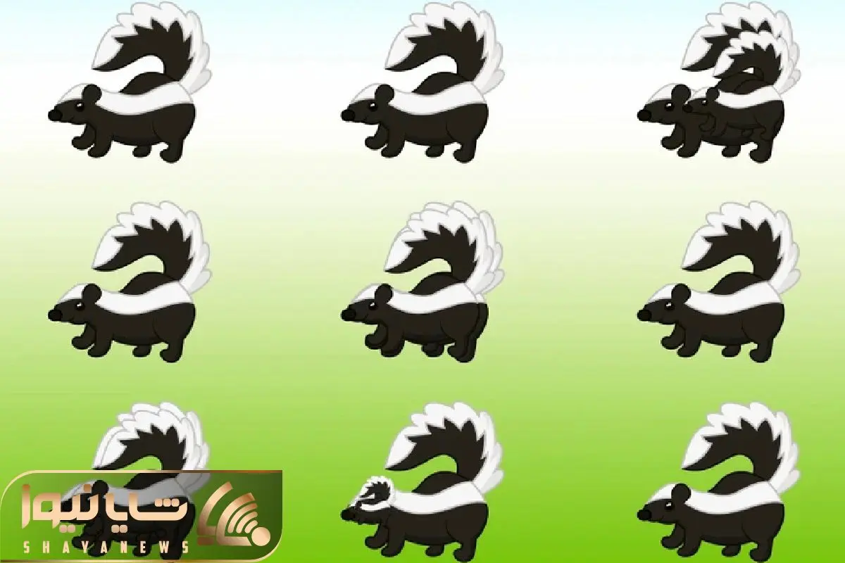 Wp Header Logo 637.png
