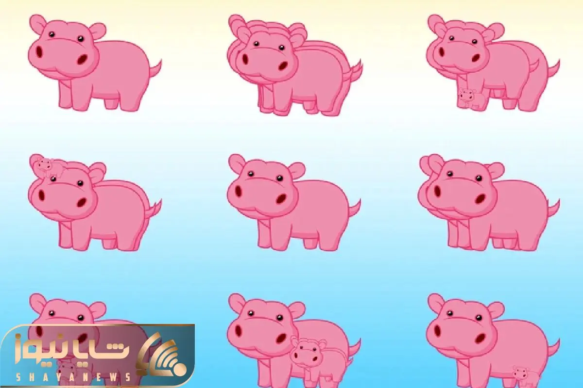 Wp Header Logo 749.png