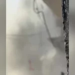 ببینید؛ لحظه انهدام مسجد توحید در غزه