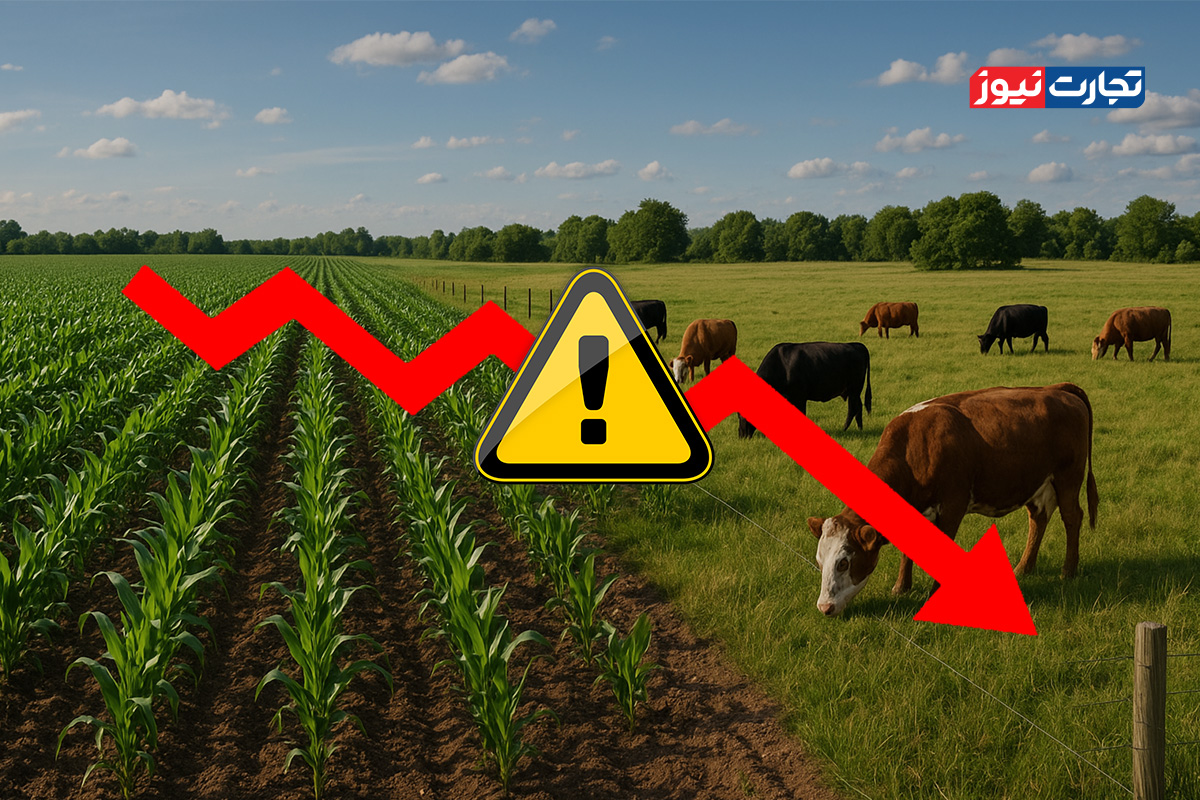 Wp Header Logo 275.png