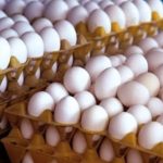 محدودیتی در خرید حمایتی تخم مرغ نداریم