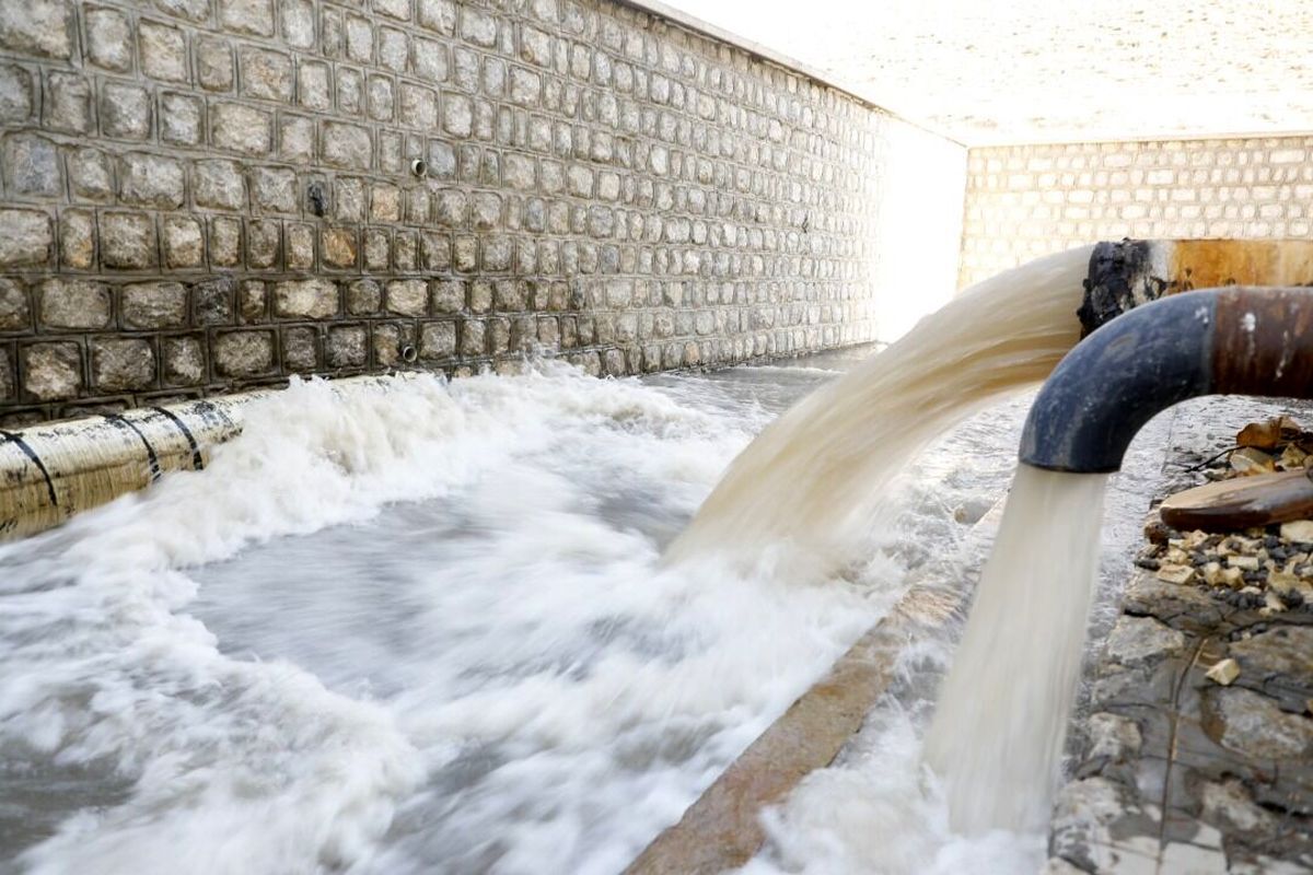 Wp Header Logo 882.png