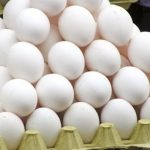صادرات تخم مرغ از سرگرفته میشود