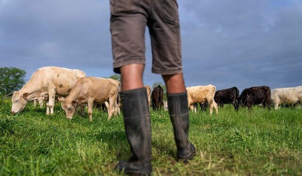 Wp Header Logo 1354.png