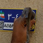 بهروزرسانی کد پستی محل اقامت برای خرید بیمهنامه الزامی است