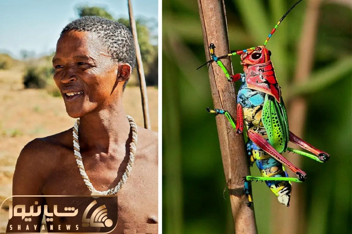 Wp Header Logo 1394.png