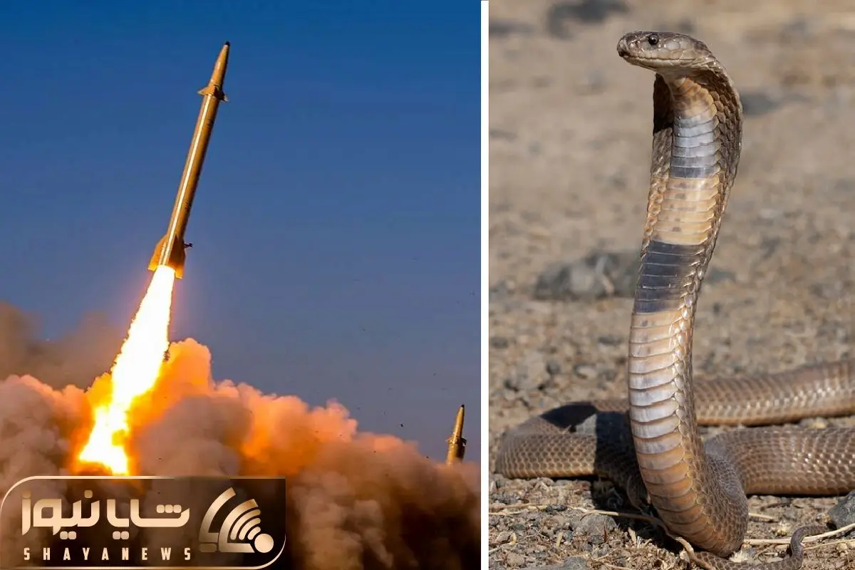 Wp Header Logo 1440.png