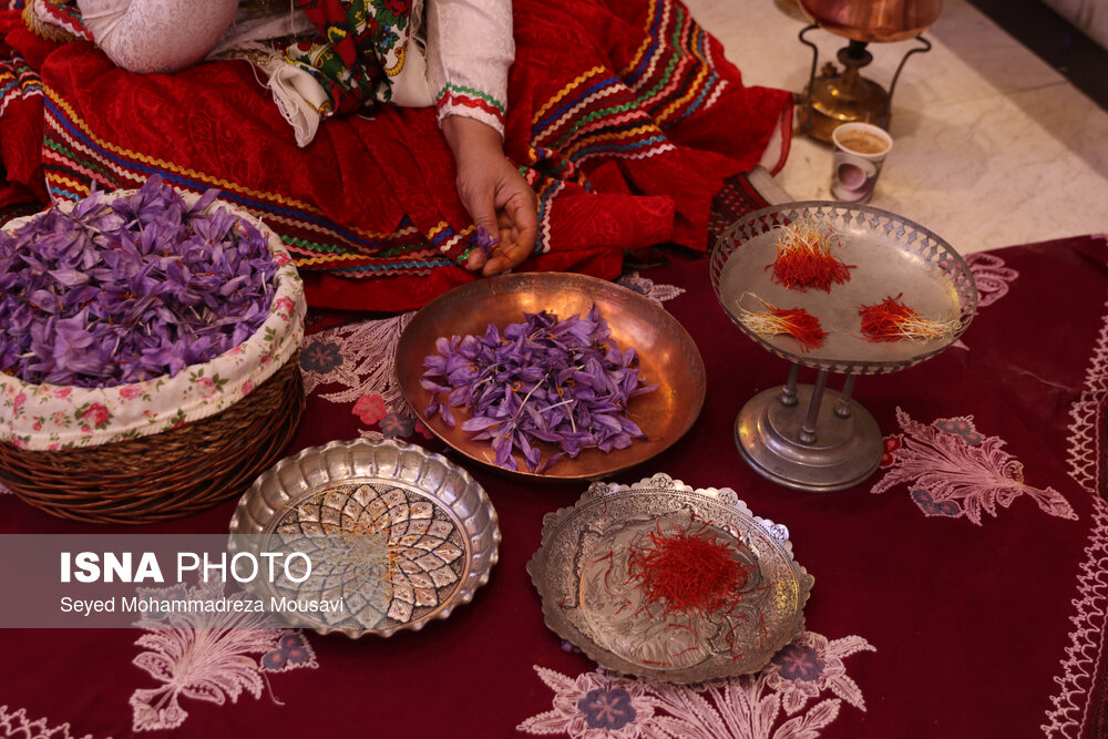 Wp Header Logo 1935.png