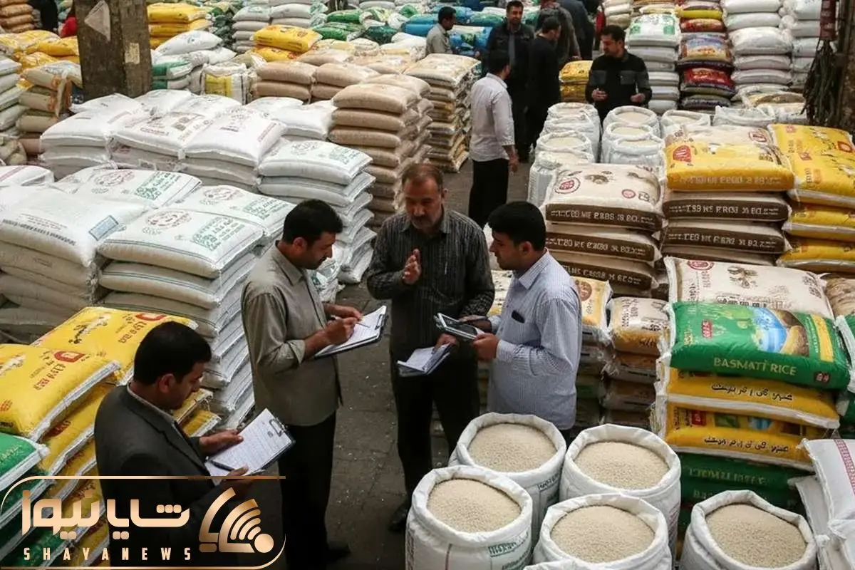 Wp Header Logo 1991.png