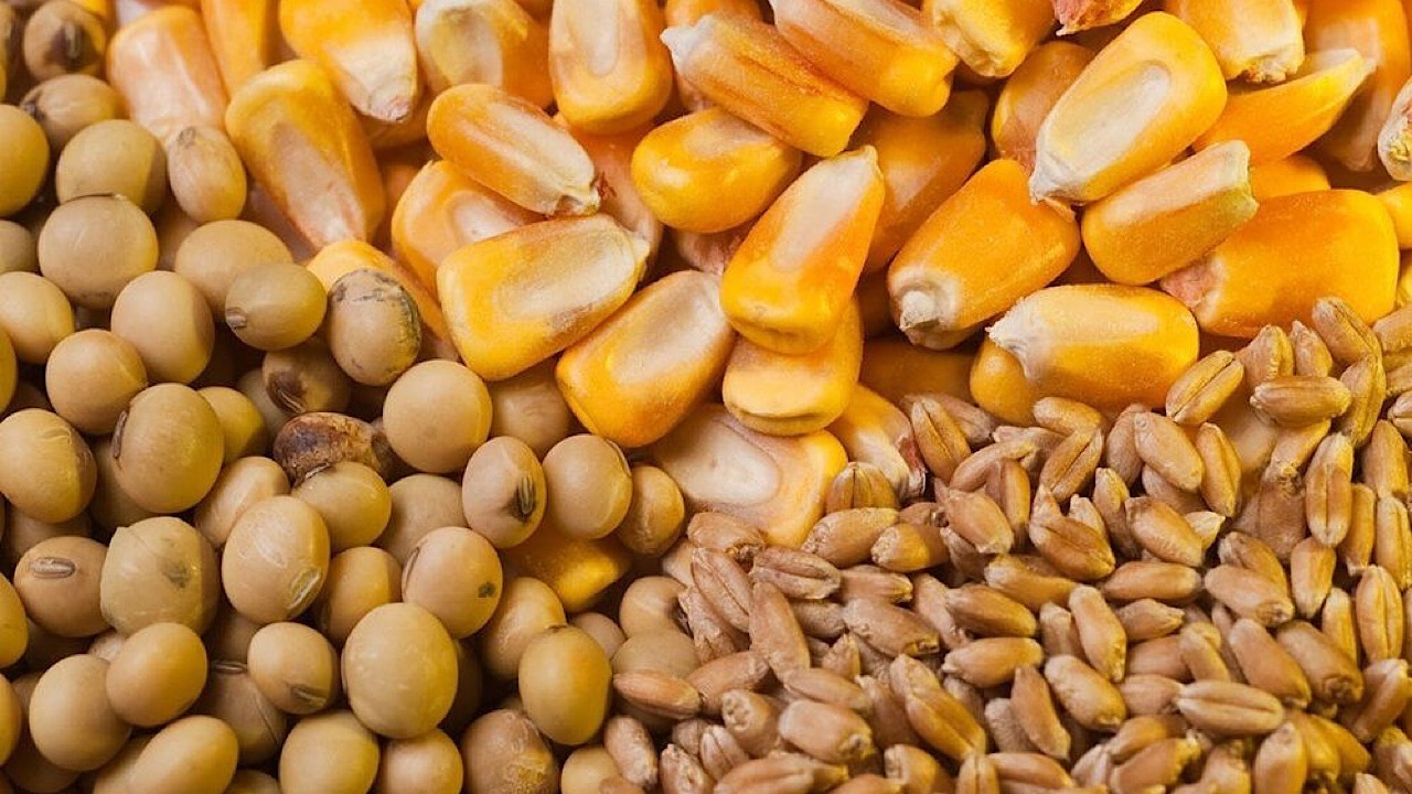 Wp Header Logo 2104.png