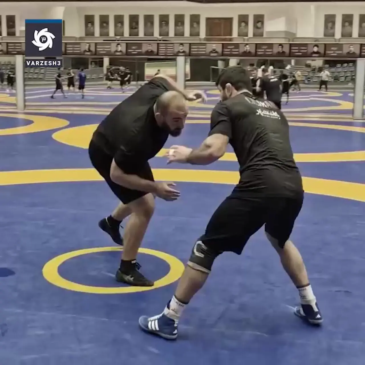 Wp Header Logo 2205.png