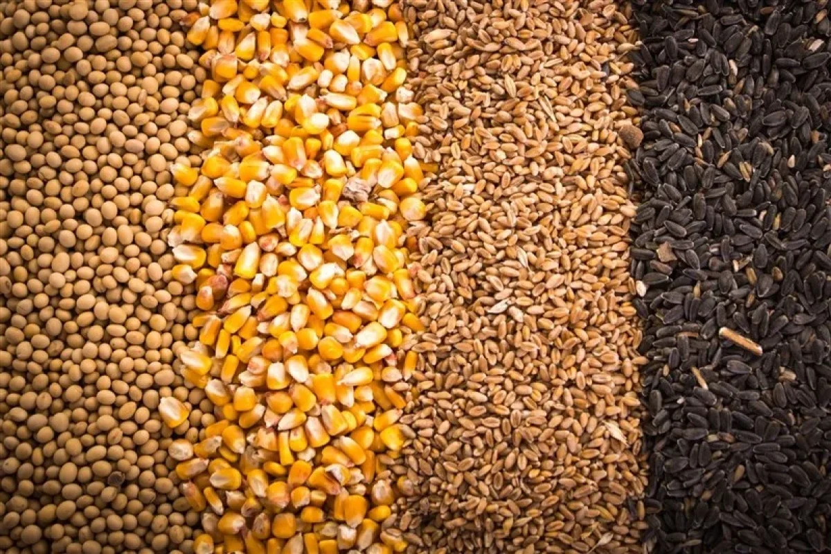 Wp Header Logo 2237.png