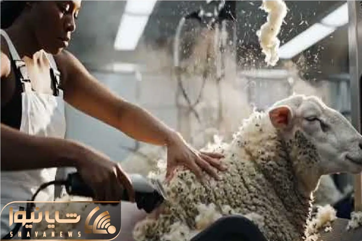 Wp Header Logo 2350.png