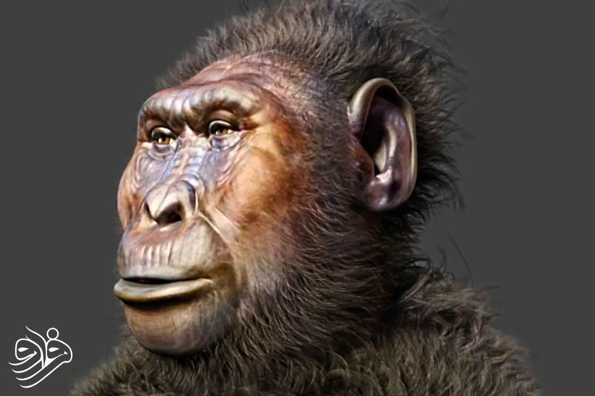 Wp Header Logo 2383.png