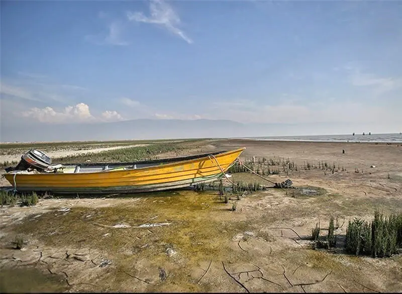 Wp Header Logo 2445.png