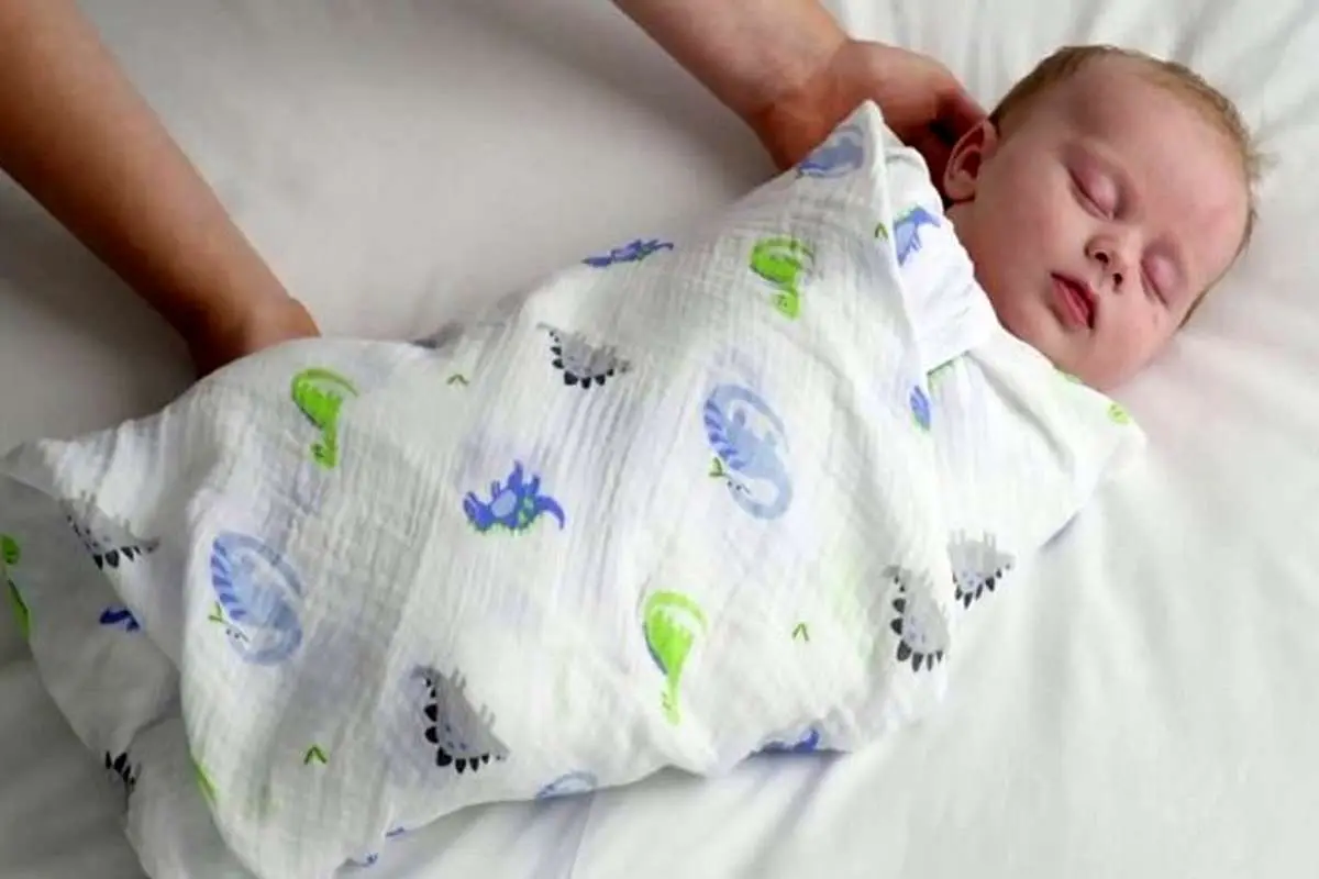 Wp Header Logo 2458.png