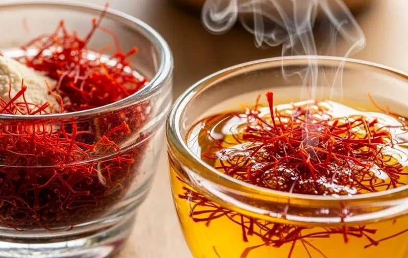 Wp Header Logo 2543.png