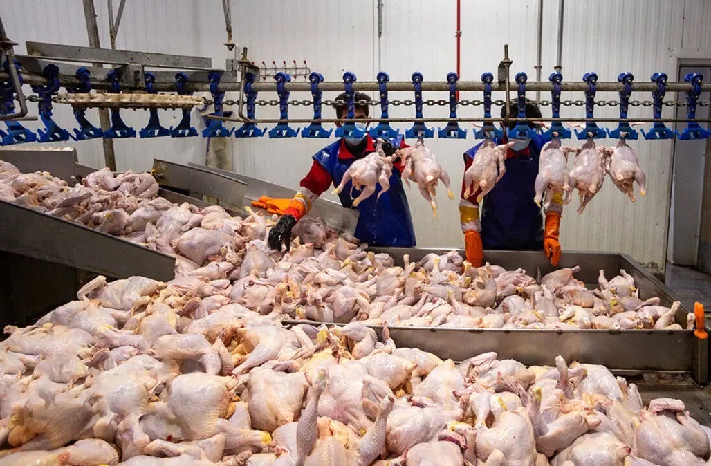 Wp Header Logo 2589.png