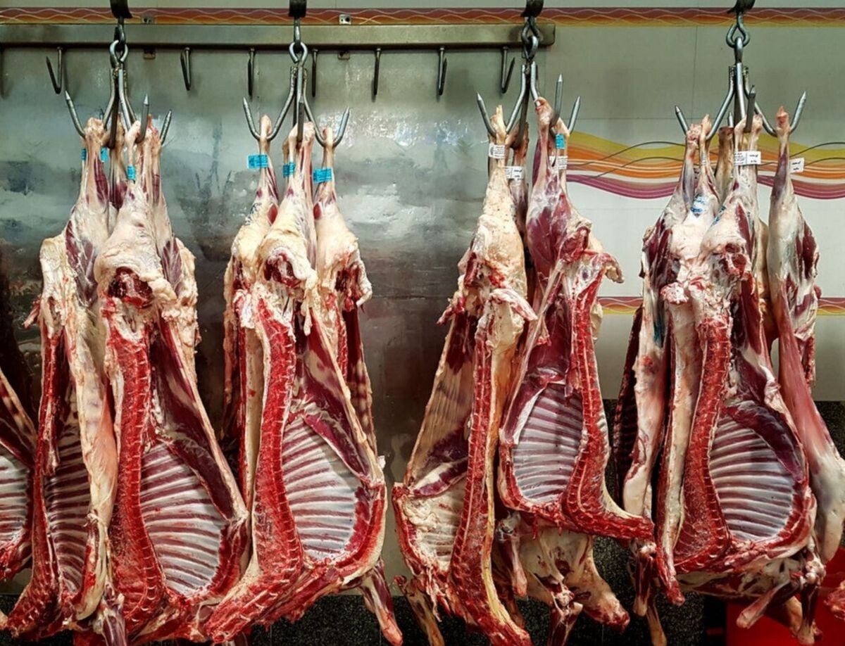 Wp Header Logo 2600.png