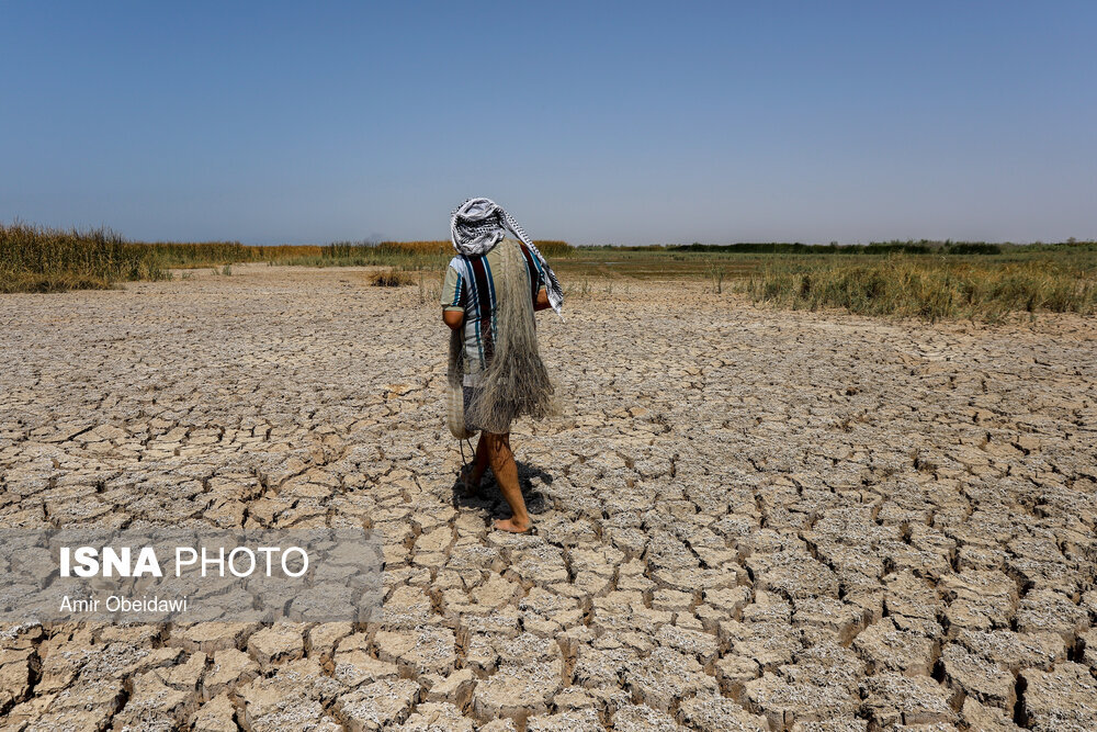 Wp Header Logo 592.png