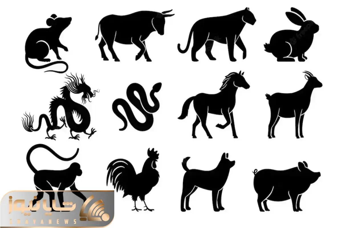 Wp Header Logo 69.png
