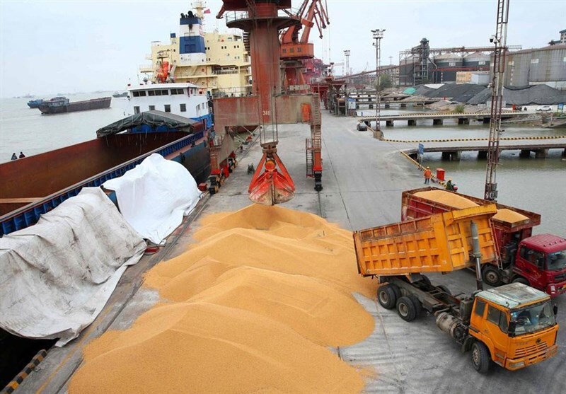 Wp Header Logo 102.png