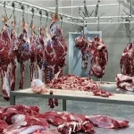 علت گرانی گوشت قرمز؛ ضعف نظارت و دخالت‌های اشتباه؟