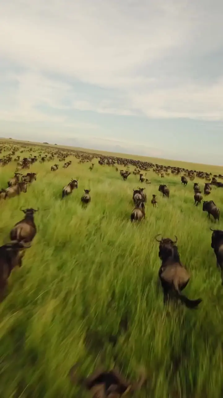 Wp Header Logo 1116.png